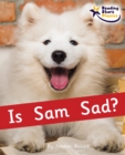 Image for Is Sam sad?