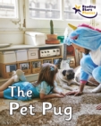 Image for The Pet Pug