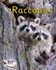 Image for Raccoons : Phase 4