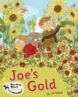 Image for Joe&#39;s Gold