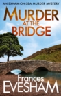 Image for Murder at the Bridge