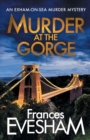Image for Murder at the Gorge