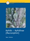 Image for Aphids – Aphidinae (Macrosiphini)