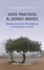 Image for State Practices and Zionist Images : Shaping Economic Development in Arab Towns in Israel