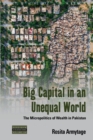 Image for Big capital in an unequal world  : the micropolitics of wealth in Pakistan