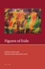 Image for Figures of Exile
