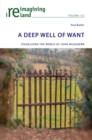 Image for A deep well of want  : visualising the world of John McGahern