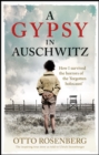 Image for A Gypsy In Auschwitz