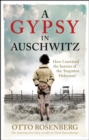 Image for A gypsy in Auschwitz  : how I survived the horrors of the &#39;forgotten Holocaust&#39;