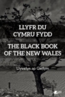 Image for Llyfr du cymru fydd