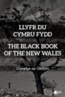 Image for Llyfr du cymru fydd =: The black book of the New Wales