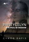Image for Pantycelyn a&#39;n picl ni heddiw