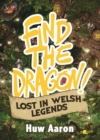 Image for Find the dragon!  : lost in Welsh legends