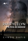 Image for Pantycelyn a&#39;n Picil Ni Heddiw