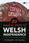 Image for 20 radical steps to Welsh independence  : by first decolonising our minds