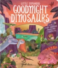 Image for Goodnight dinosaurs  : with peep-through pages and fun facts!