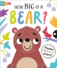 Image for How big is a bear?