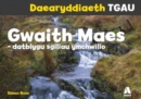 Image for Daearyddiaeth TGAU: Gwaith Maes - Datblygu Sgiliau Ymchwilio