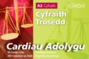 Image for Cardiau Adolygu&#39;r Gyfraith - Cyfraith Trosedd
