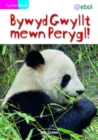 Image for Cyfres Bling: Bywyd Gwyllt Mewn Perygl!