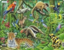 Image for Bywyd Gwyllt y Goedwig Law / Wildlife of the Rainforest