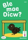 Image for Llyfrau Hwyl Magi Ann: Ble Mae Dicw?