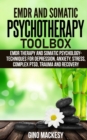 Image for EMDR and Somatic Psychotherapy Toolbox