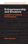 Image for Entrepreneurship and emotions: insights on venture performance