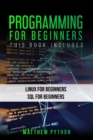 Image for Programming for Beginners