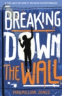 Image for Breaking down the wall