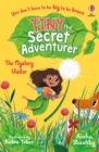 Image for Tiny the Secret Adventurer: The Mystery Visitor