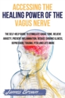 Image for Accessing the Healing Power of the Vagus Nerve