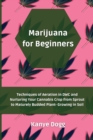 Image for Marijuana for Beginners