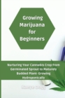 Image for Growing Marijuana for Beginners