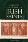 Image for A Supplement to a Dictionary of Irish Saints