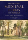 Image for Discovering Medieval Ferns, Co. Wexford