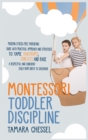 Image for Montessori Toddler Discipline