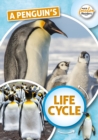 Image for A penguin&#39;s life cycle