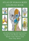 Image for Atlas of Human Body Coloring Book : An Entertaining and Instructive Guide to the Bones, Muscles, Blood, Cells, Nerves and How They Work