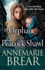 Image for The orphan in the peacock shawl