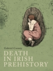 Image for Death in Irish prehistory