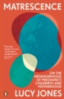 Image for Matrescence  : on the metamorphosis of pregnancy, childbirth and motherhood