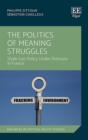 Image for The Politics of Meaning Struggles