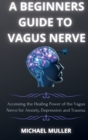 Image for A Beginners Guide to Vagus Nerve