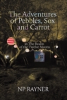 Image for The Adventures of Pebbles, Sox and Carrot : In The Realm of the Twelve Moons