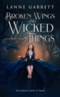 Image for Broken Wings and Wicked Things : A YA Fantasy Romance: A YA Fantasy Romance