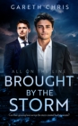 Image for Brought by the Storm: An LGBTQIA Age Gap Romance