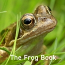 Image for Frog Book