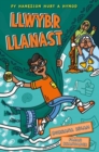 Image for Llwybr Llanast