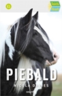 Image for Piebald